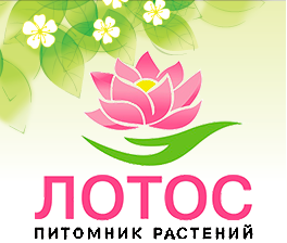 ГКФХ Шеина Людмила Ивановна ГКФХ Шеина Людмила Ивановна