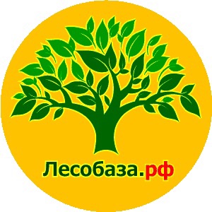 ООО "НОВМОССТРОЙ"