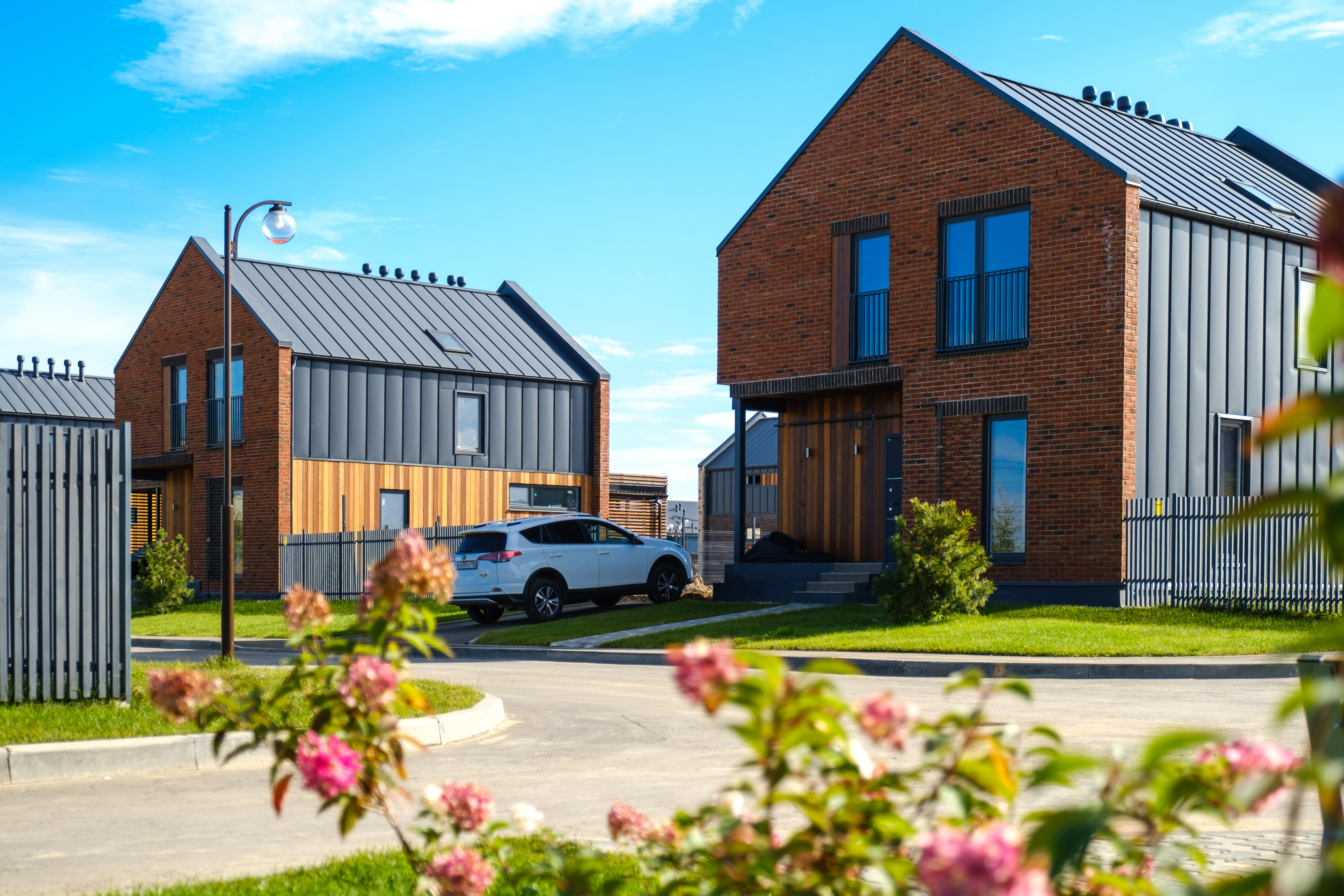 Выбранное изображение