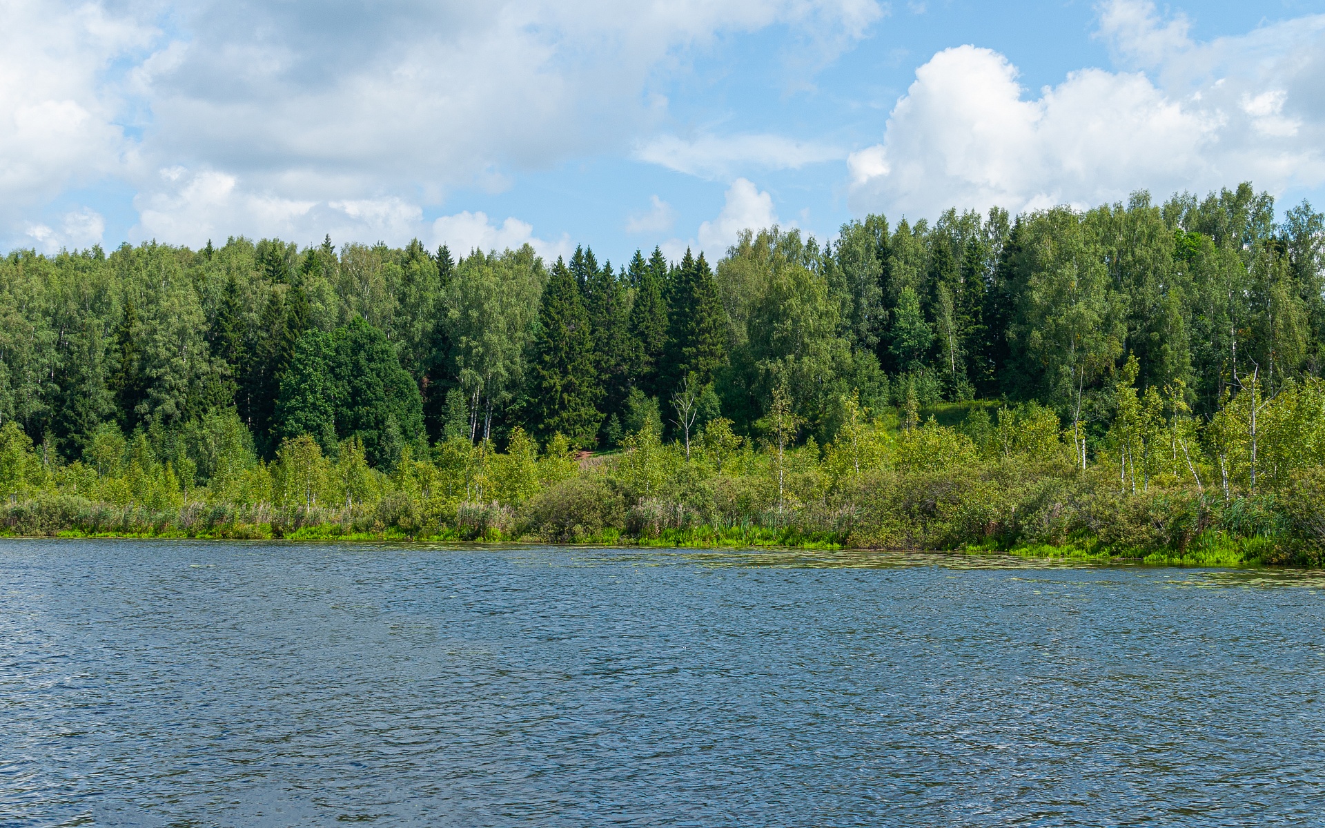 Изображение из списка