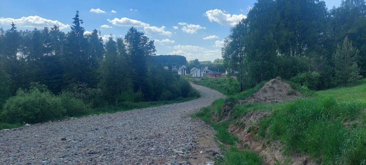 Выбранное изображение