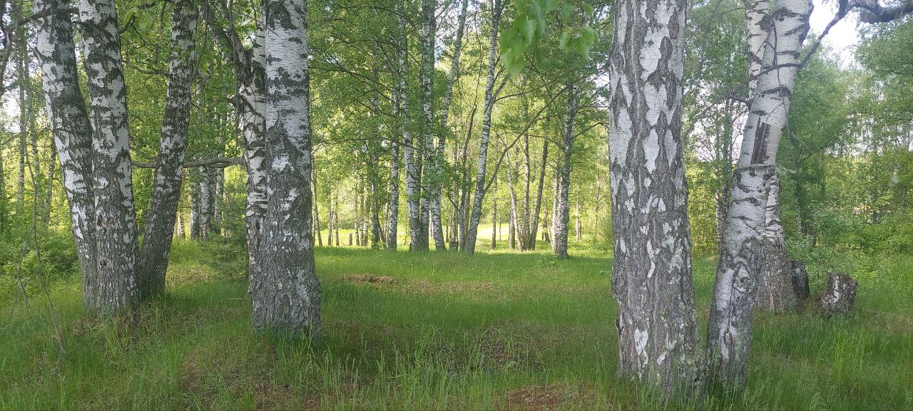 Изображение из списка