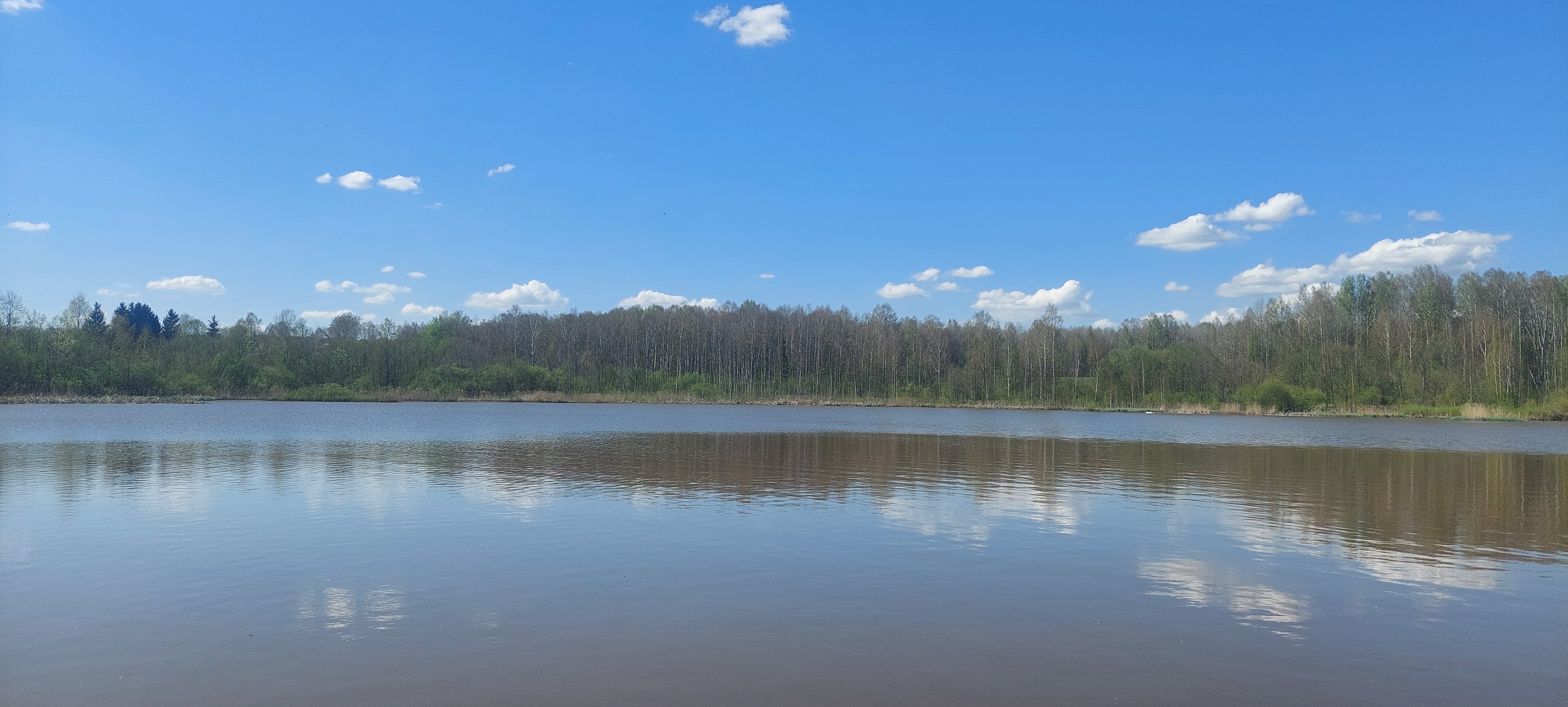 Изображение из списка