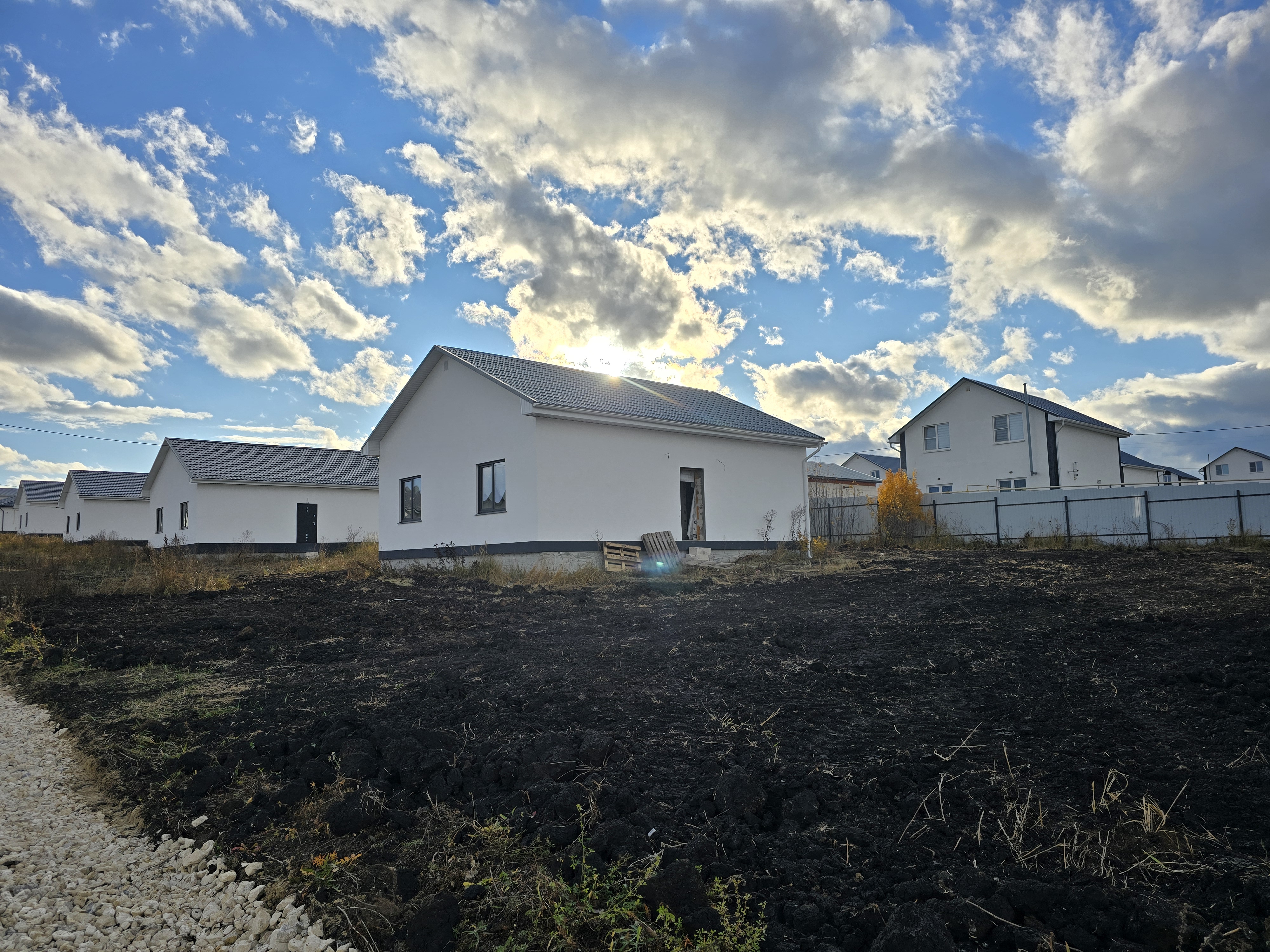 Выбранное изображение