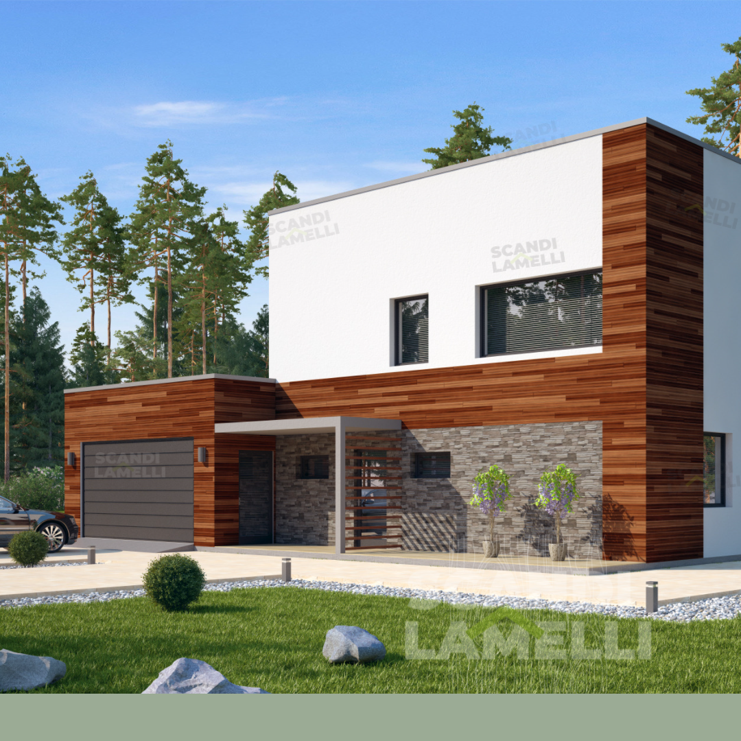 Проект Саари