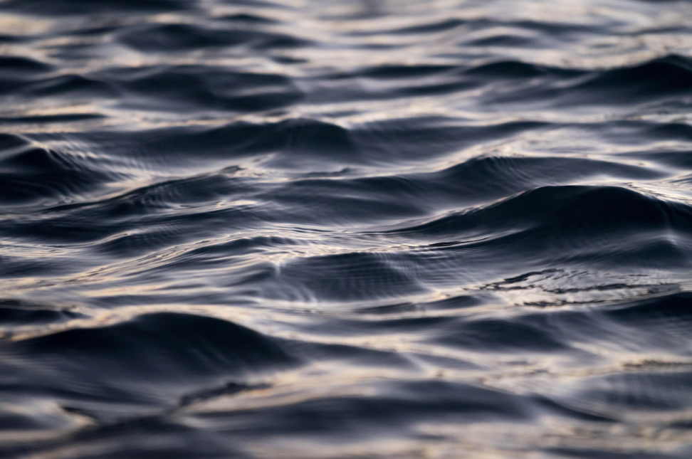 Уход за прудом