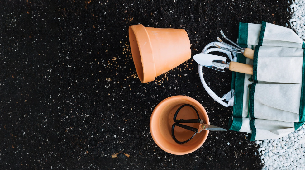 7 правил осенней заготовки грунта для рассады