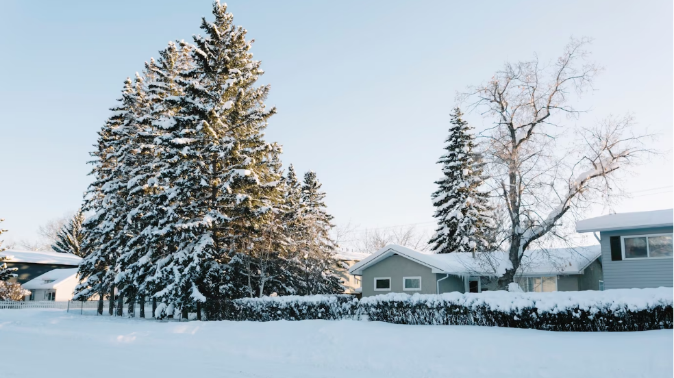 Как купить загородный дом и не пожалеть об этом
