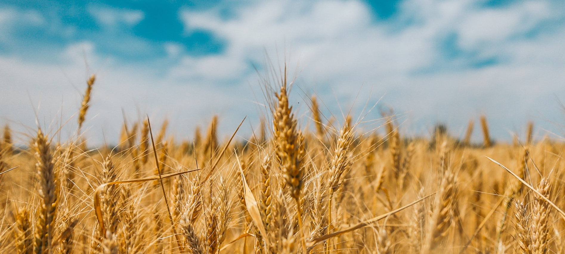 Нюансы ипотеки для приграничных территорий