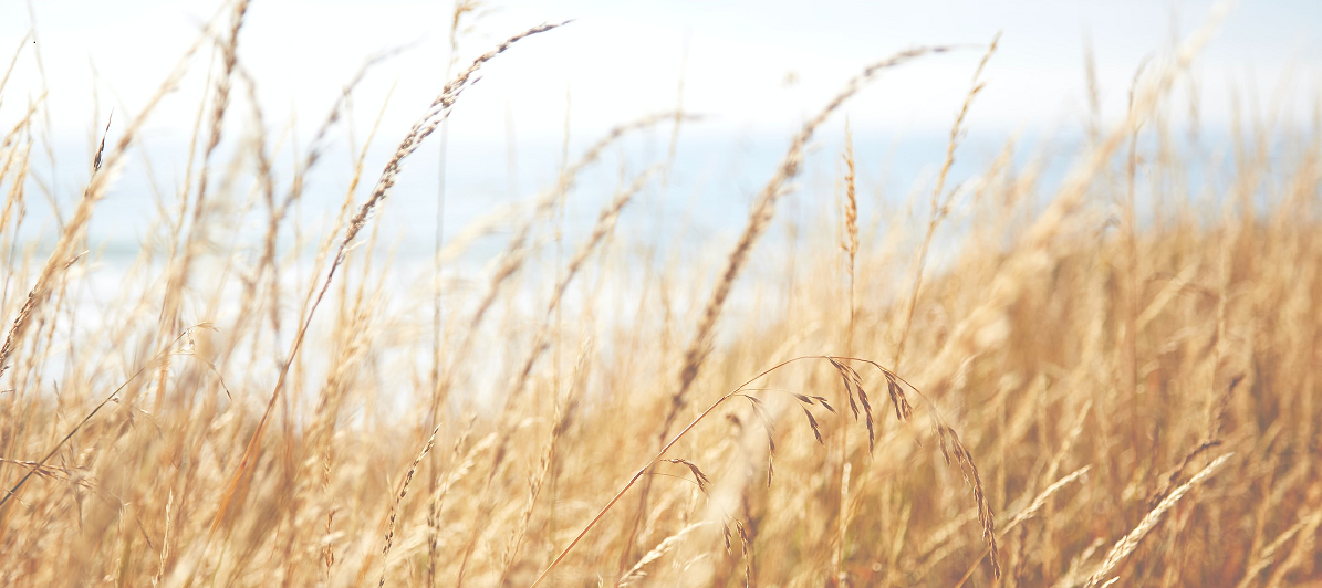 Ипотека в опорном населенном пункте: что надо знать о поселении