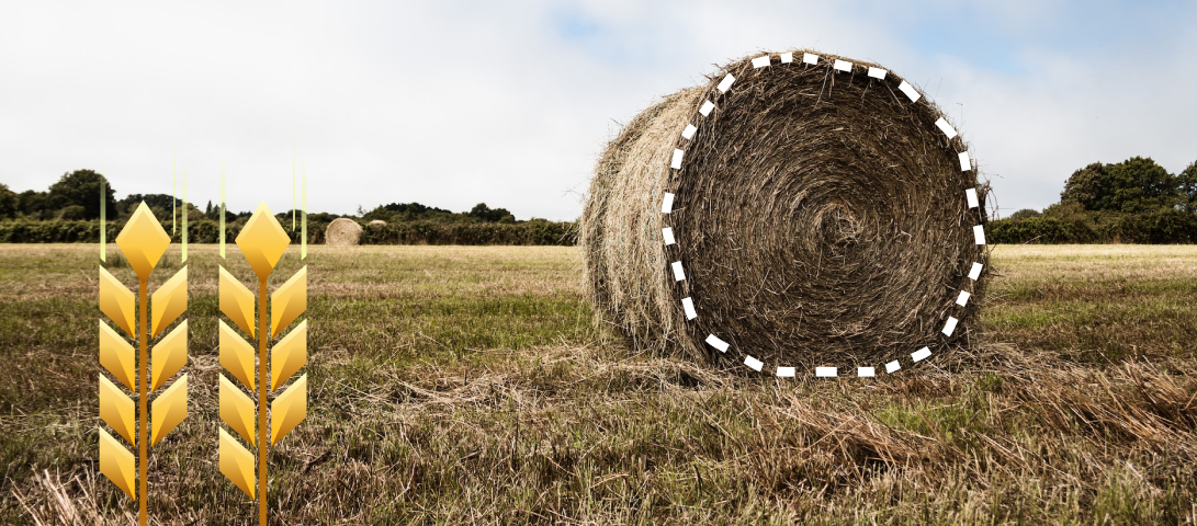 Сельская ипотека: перспективы развития аграрной отрасли