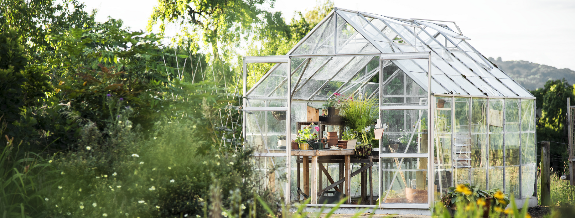 Дача 2023: чек-лист, что успеть за лето