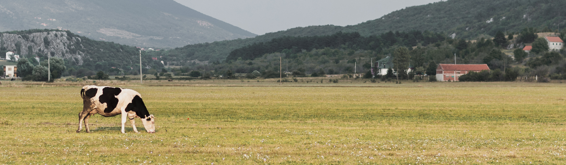 Россельхозбанк проанализировал профиль заемщика сельской ипотеки