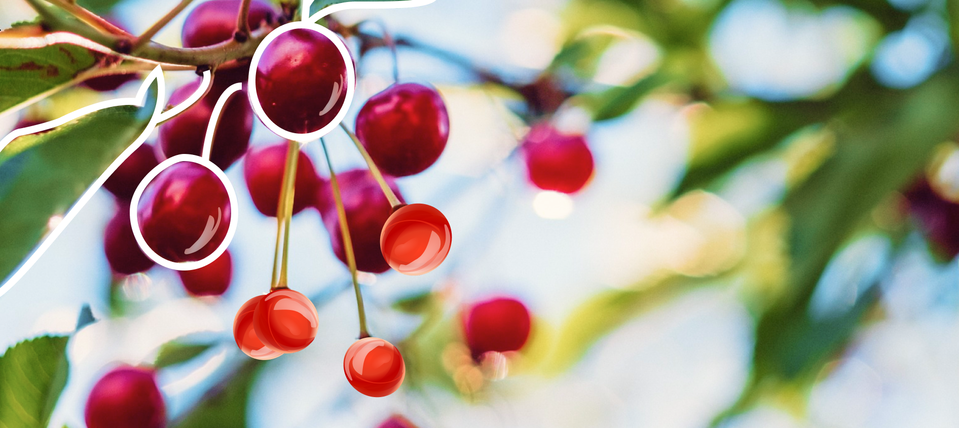 Как загородный дом стал культурным феноменом