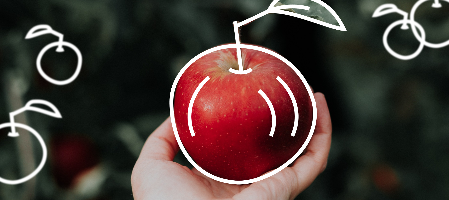 Яблоко раздора: раздельный или совмещенный санузел