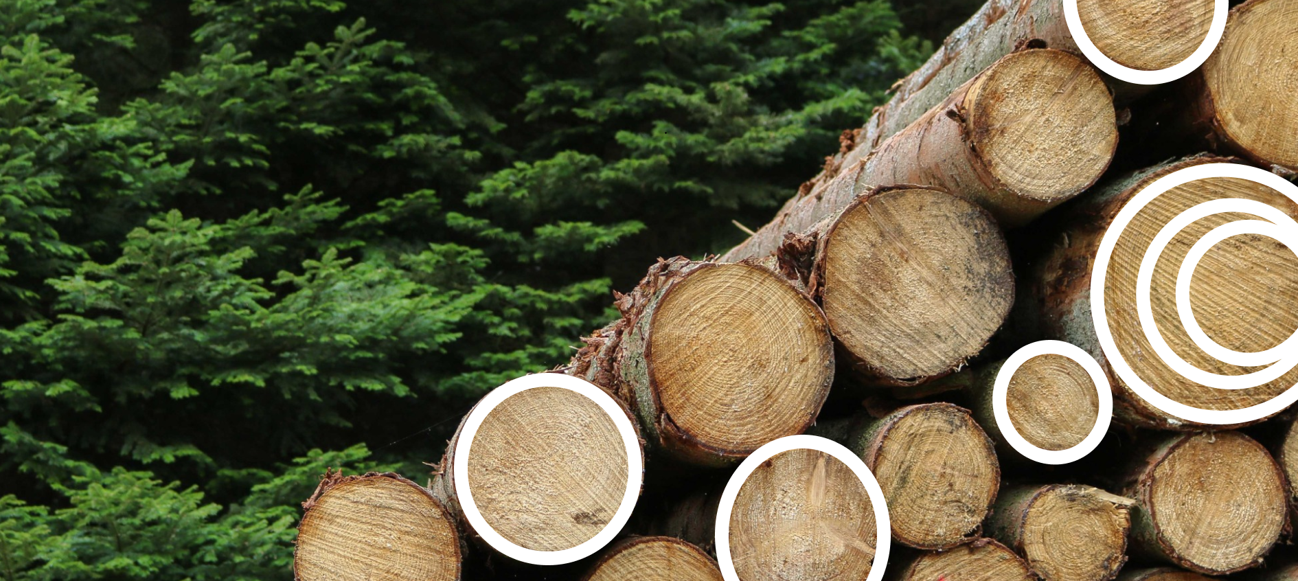 Коварный ДСП: опасно ли делать ремонт