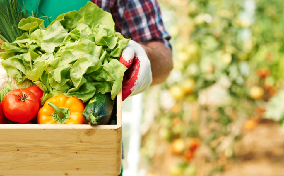 Селу нужны рабочие руки
