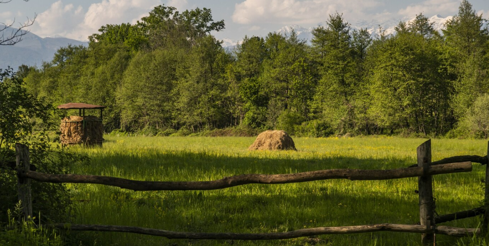 Что такое сельская ипотека?