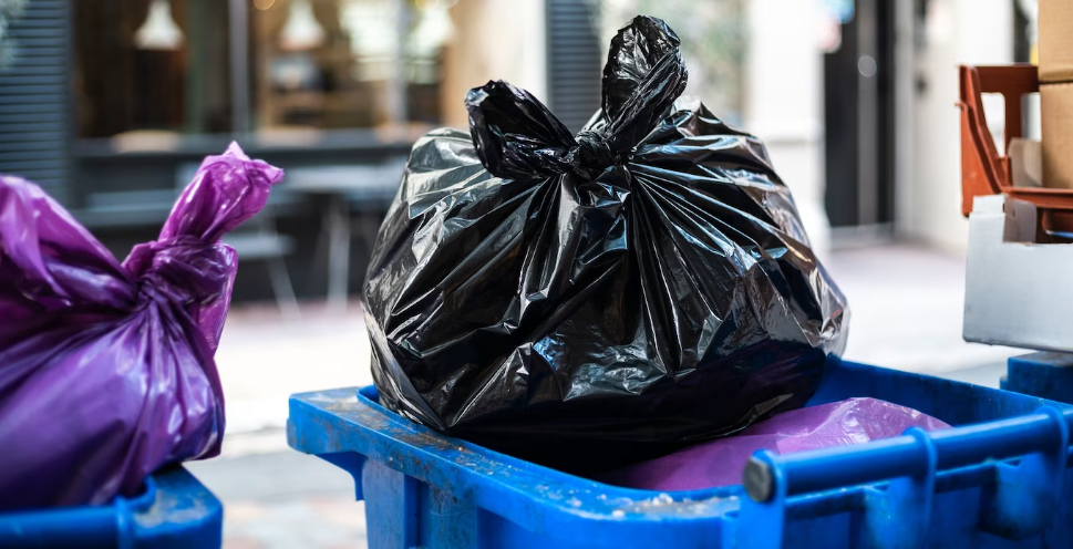 Можно ли сжигать мусор на участке?