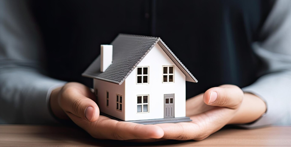 По каким программам дом можно приобрести с господдержкой?