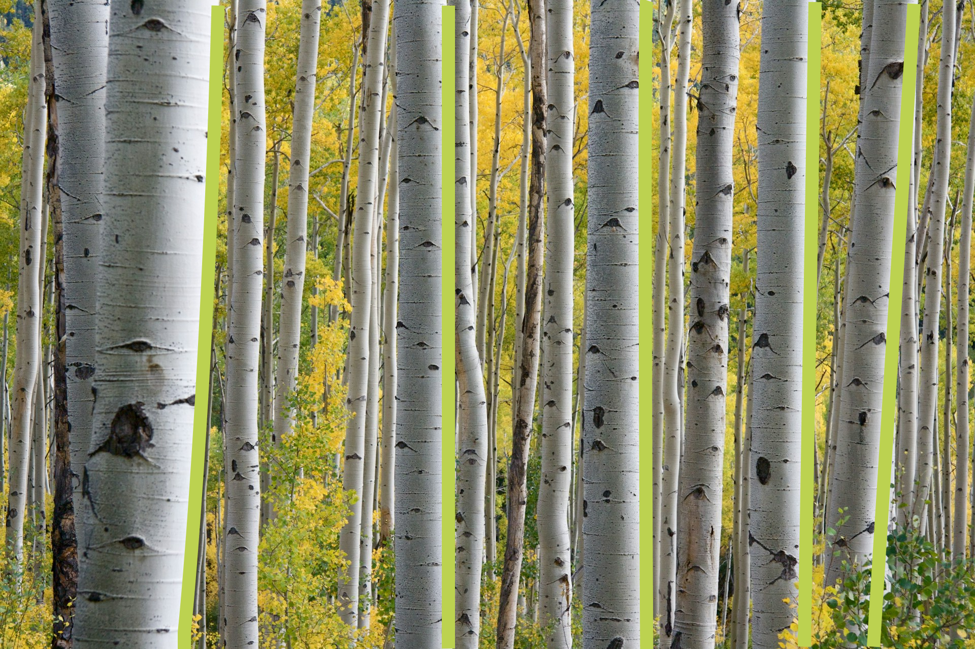 Иллюстрация к статье - Как украсить дом к Масленице Как украсить дом к Масленице