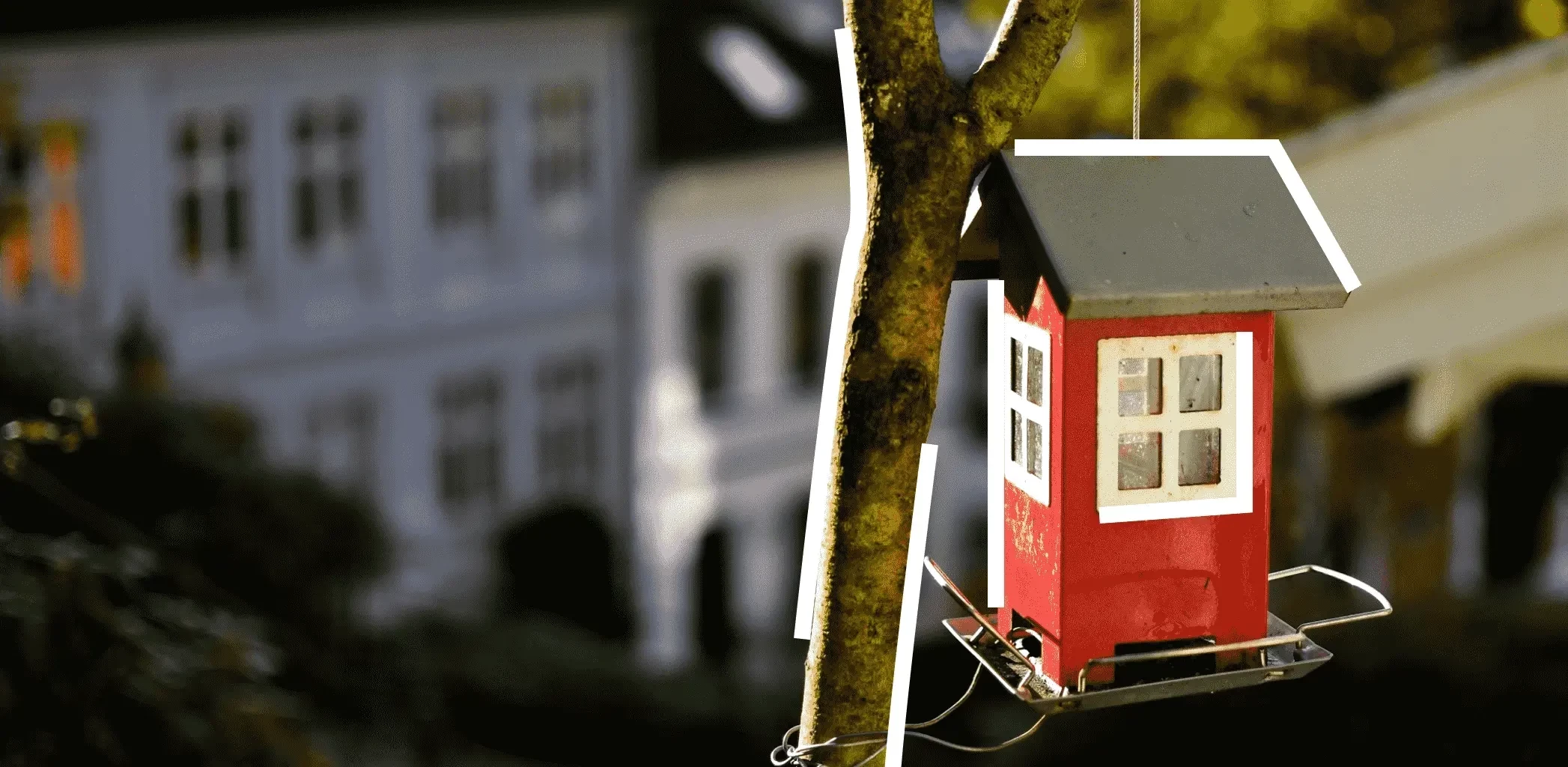 Улучшение жилищных условий для многодетных семей: использование земельного сертификата