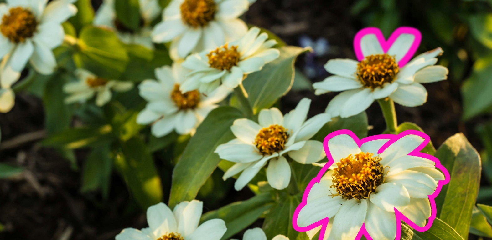 Как выбрать строительную бригаду