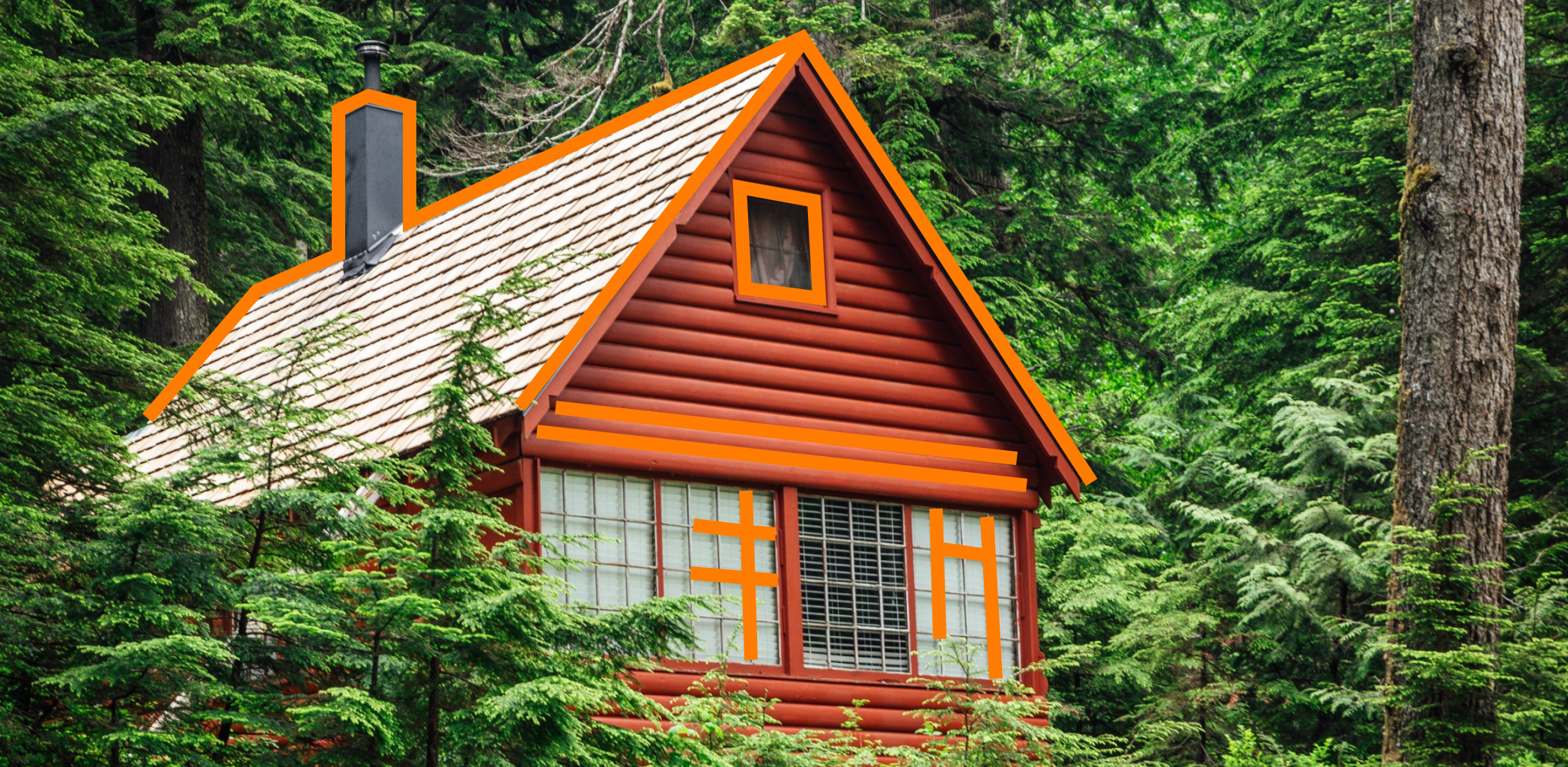 Как повысить урожайность с помощью сидератов