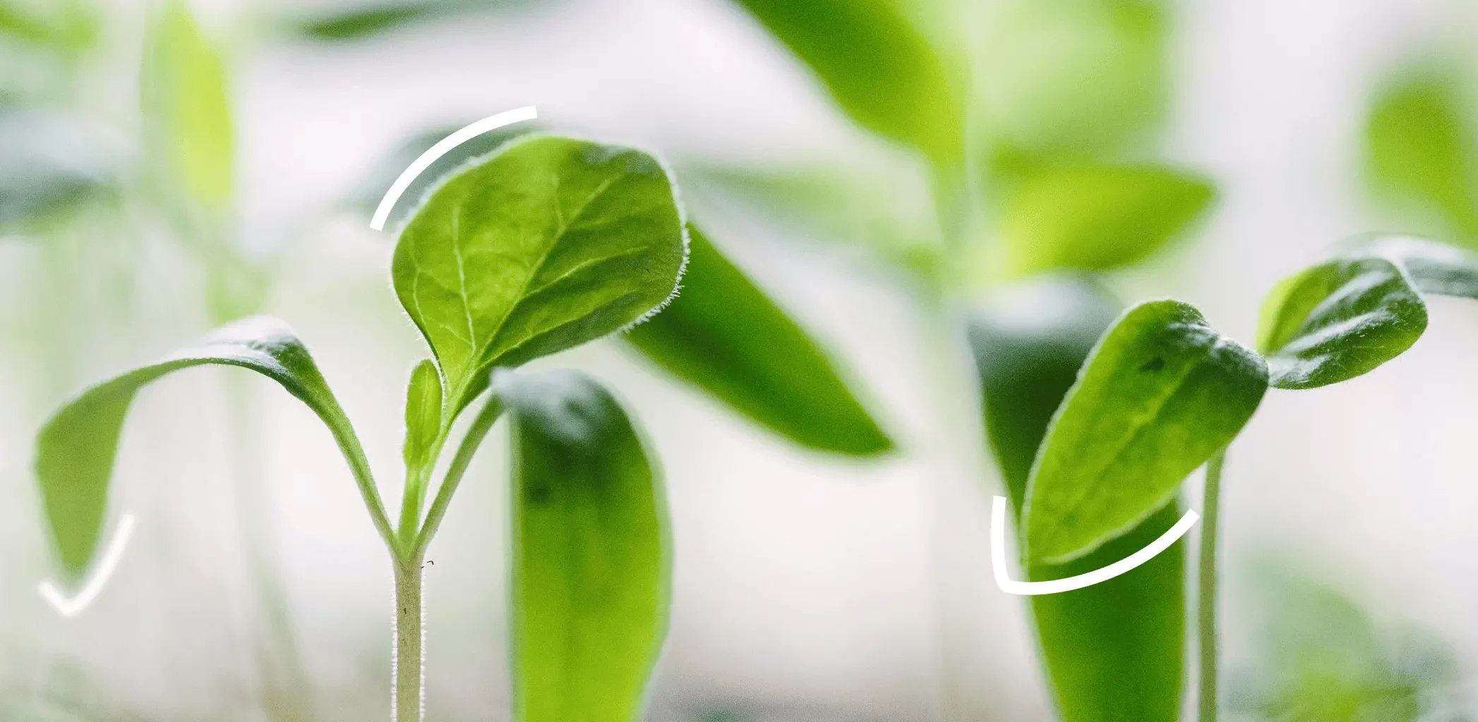 РФ ужесточает контроль за сельхозземлями: новые правила перевода категорий