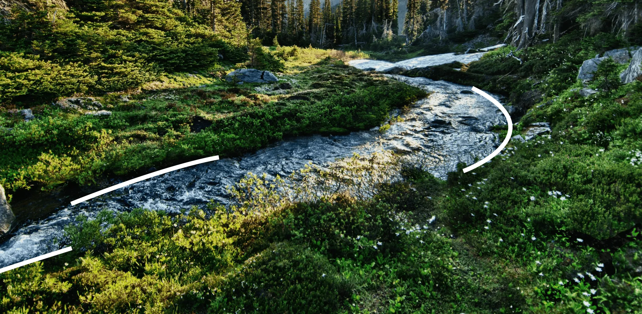 Норма, освобождающая от обложения НДС работы подрядчика 