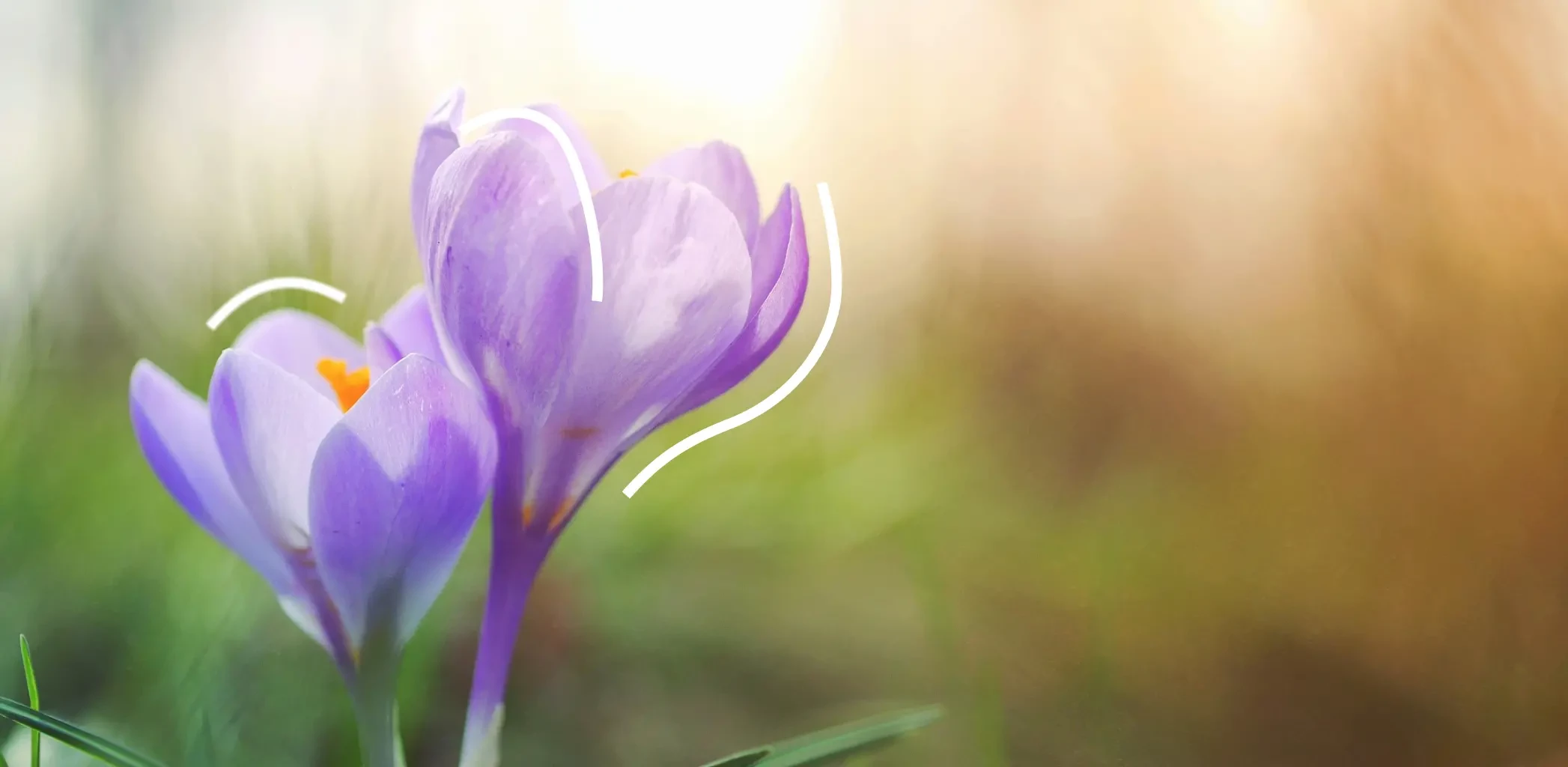 Эконом-варианты дачного ремонта: бюджетно, но стильно