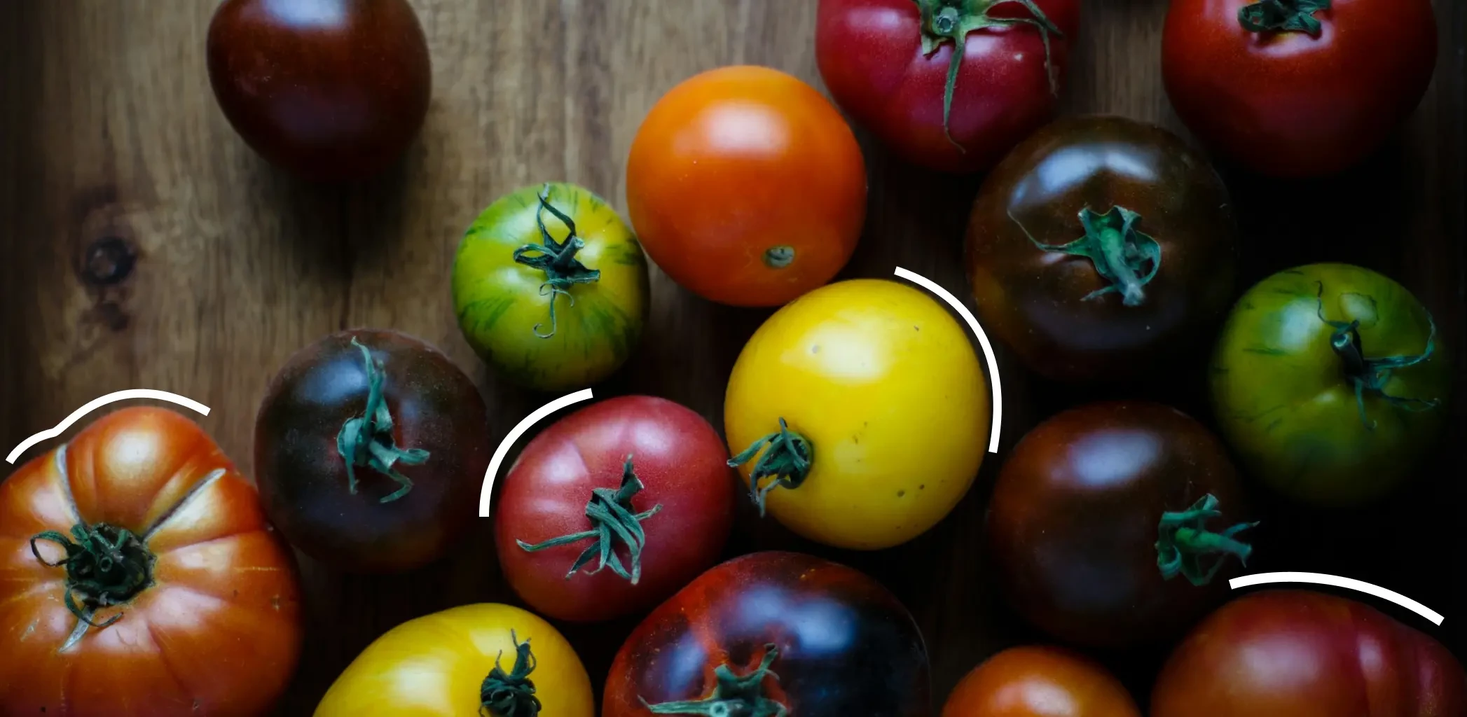 Умный огород: гаджеты и лайфхаки для современных дачников