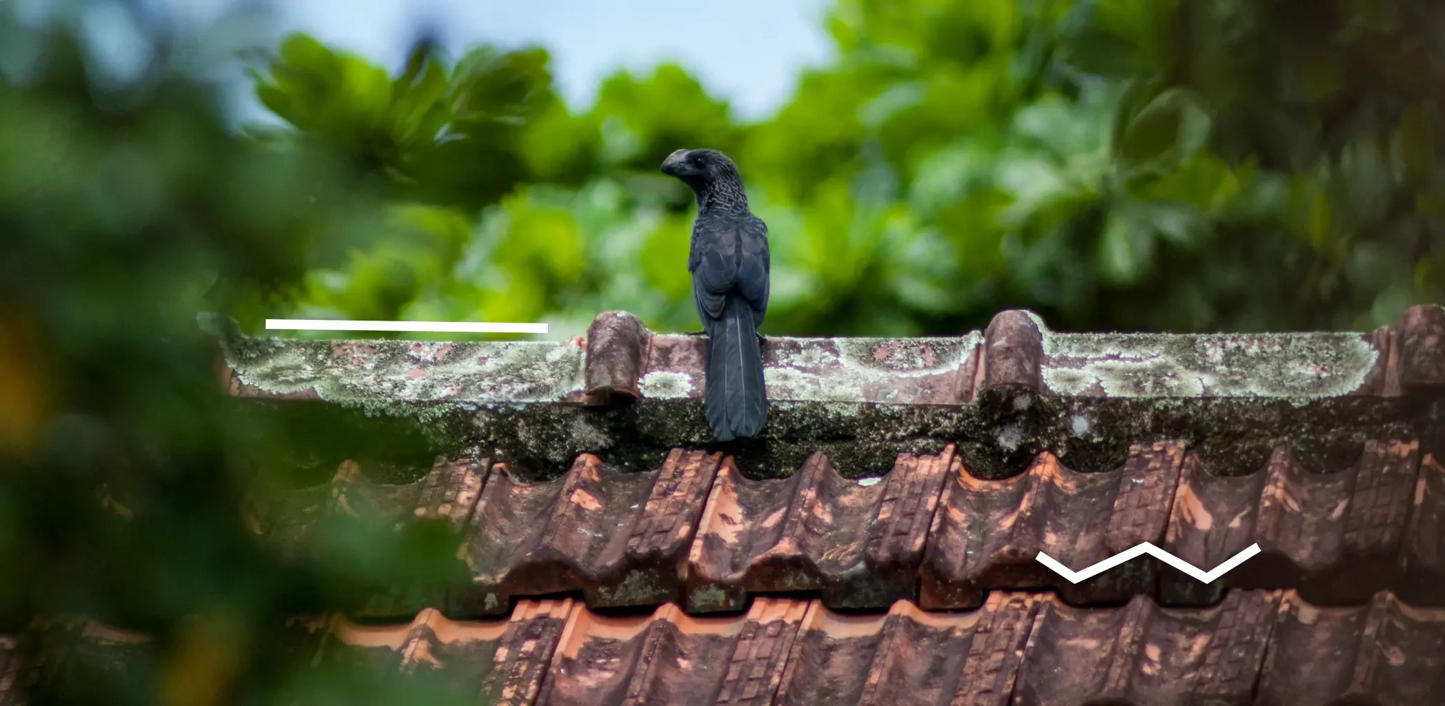 Как сделать крышу в частном доме своими руками: пошаговая инструкция