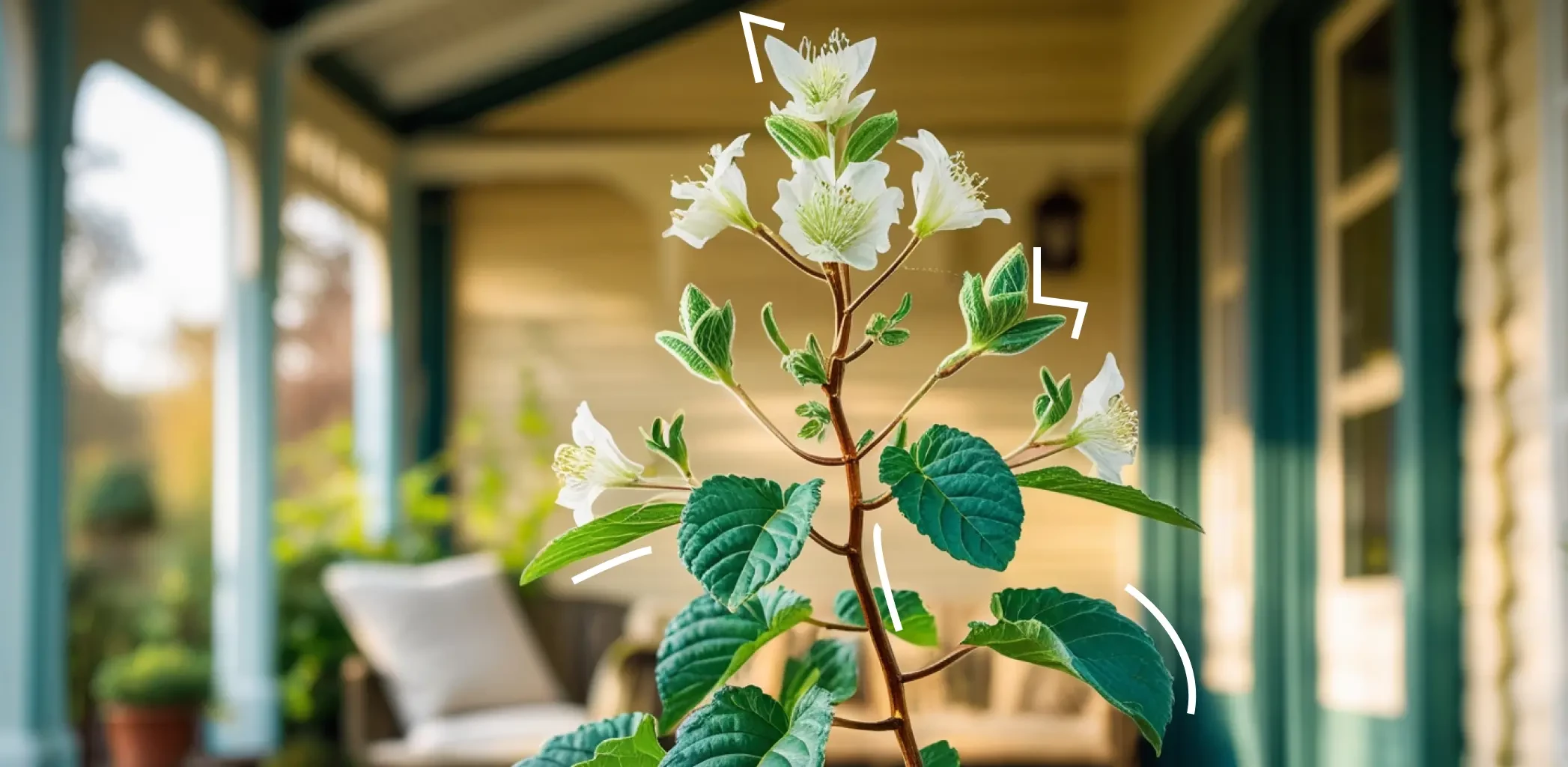 Как защитить дачный дом от грабителей