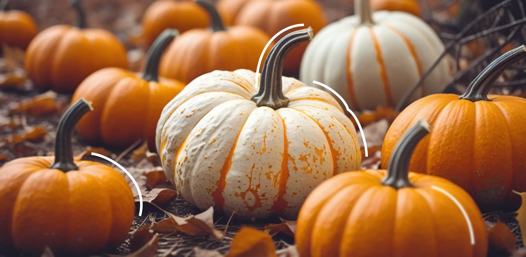 Древесная зола — натуральное удобрение для огорода: как правильно использовать