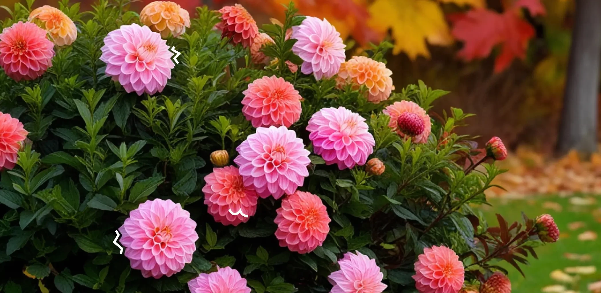 Подзимний посев многолетников: как и когда сеять цветы осенью, чтобы весной не узнать свой сад