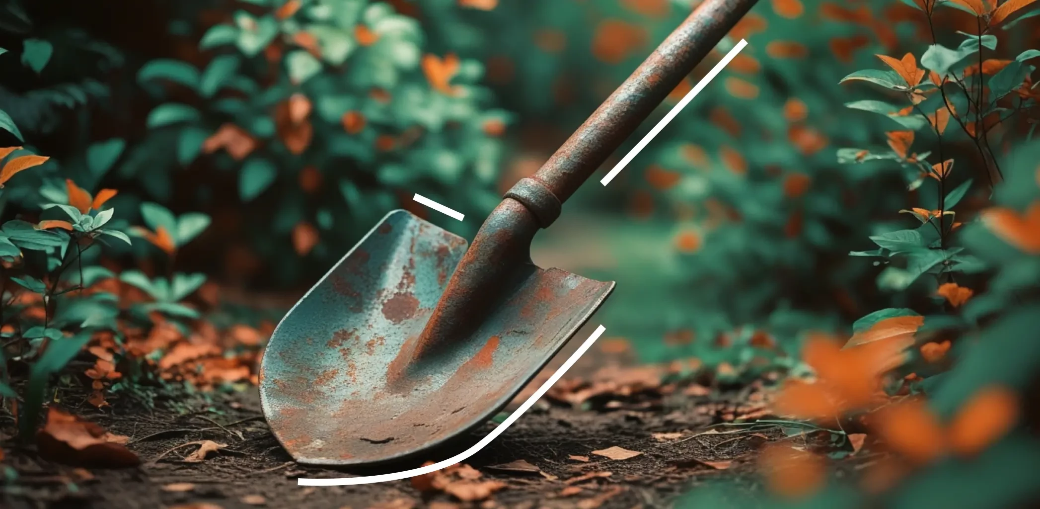 Подготовка почвы под зимующие грядки: как правильно мульчировать, рыхлить и вносить удобрения осенью