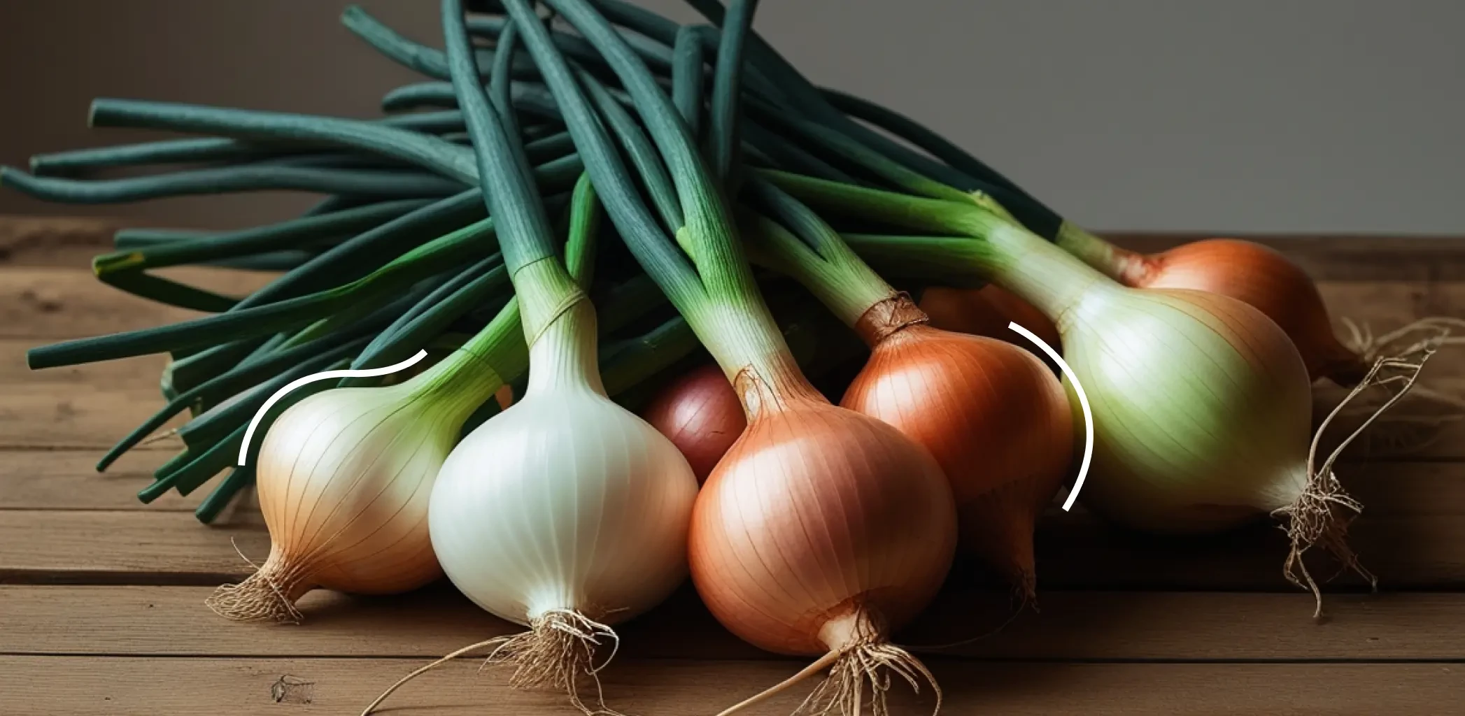 Посадка озимого лука в ноябре 2025 — технология, сроки и нюансы