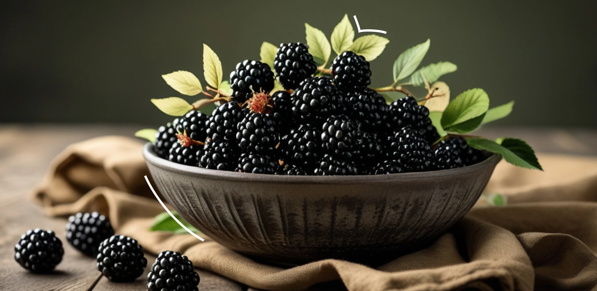 Топ-10 лучших сортов ежевики для вашего сада