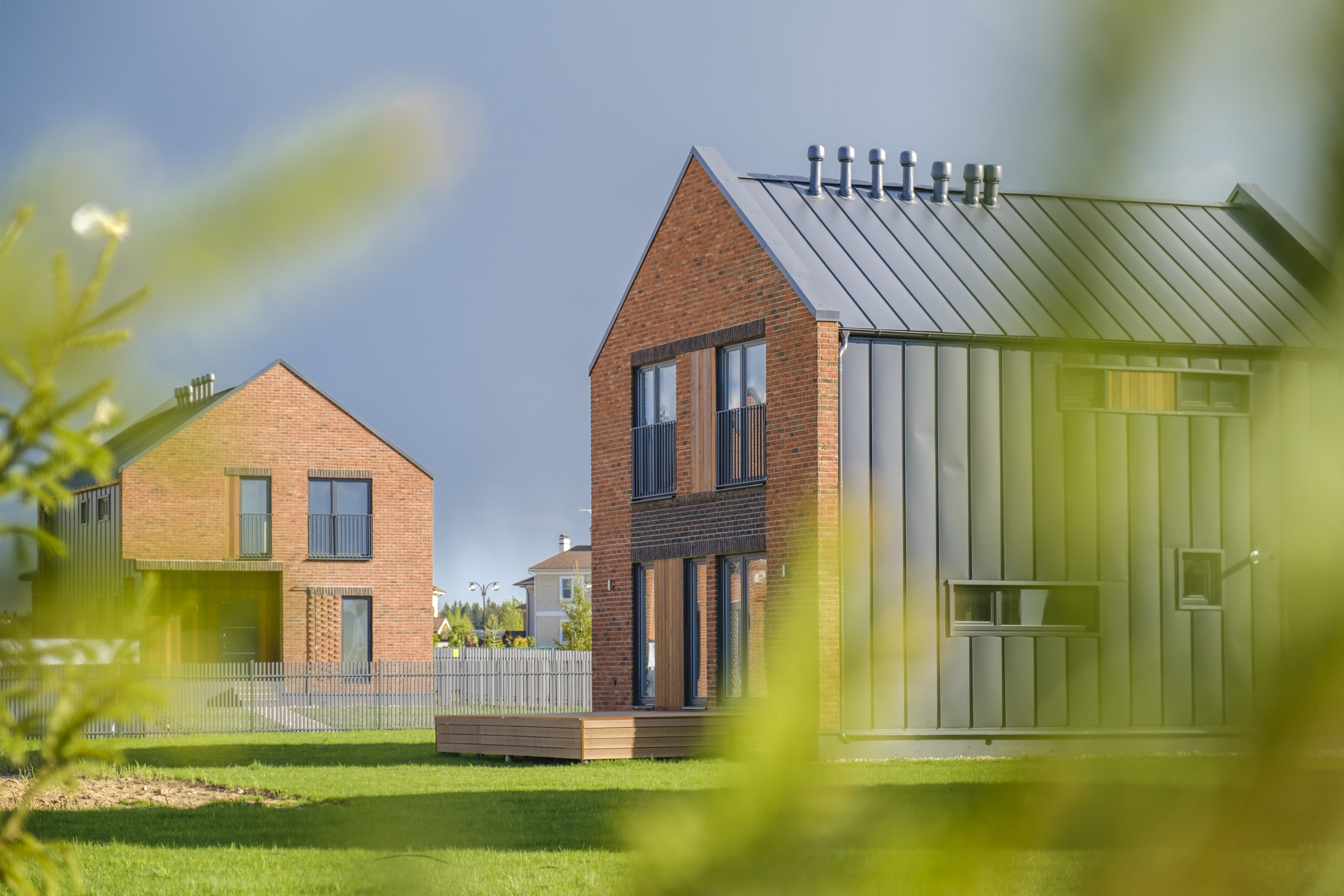 Выбранное изображение