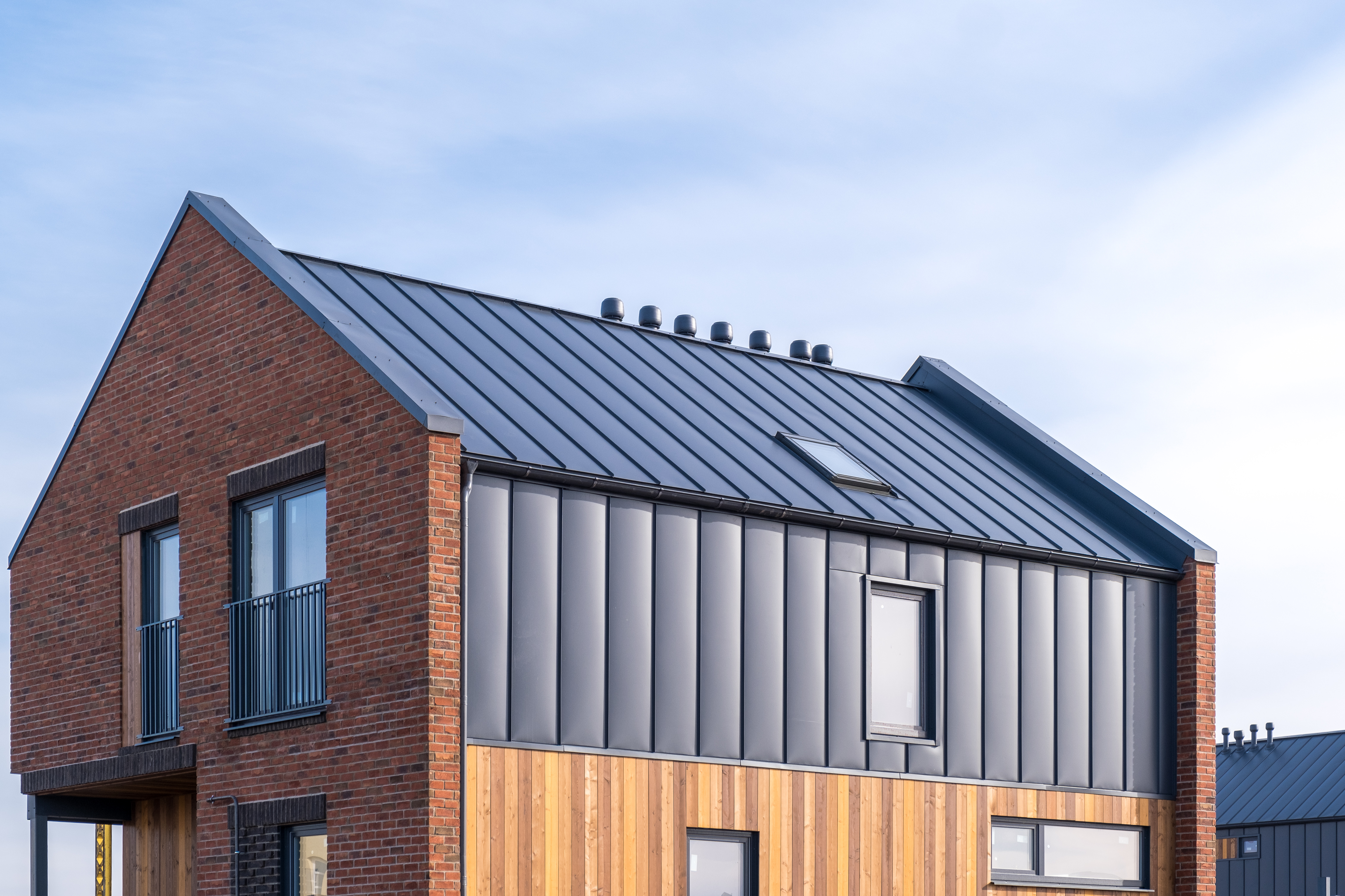 Выбранное изображение