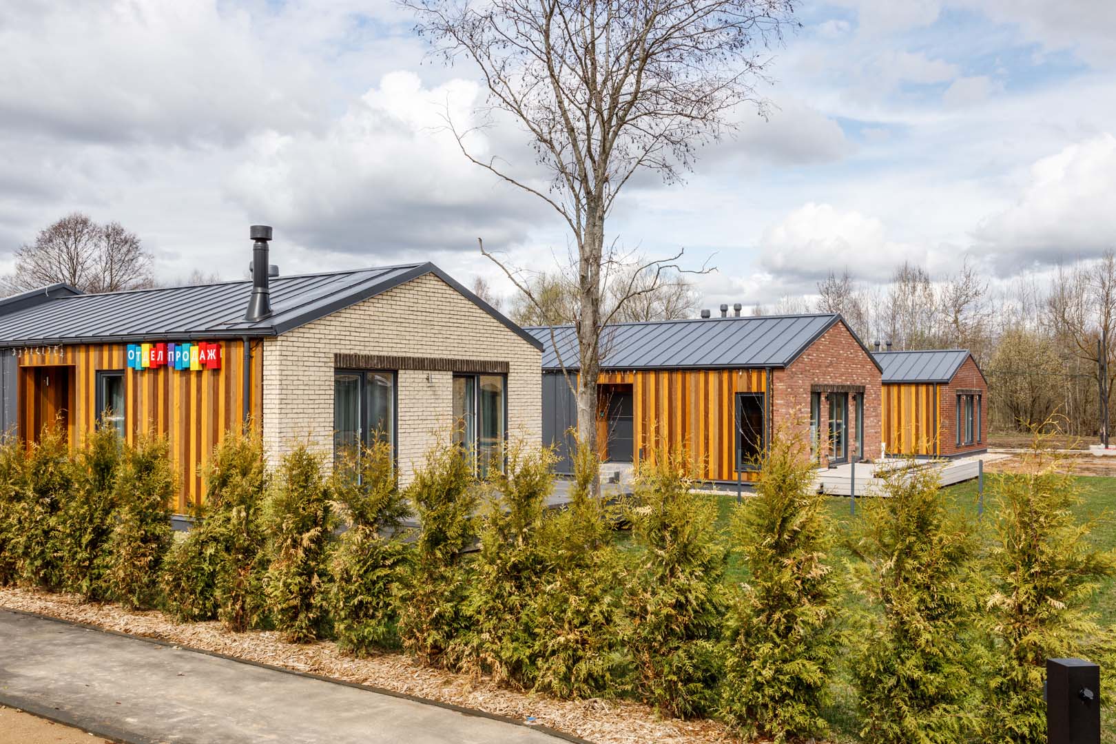 Изображение из списка