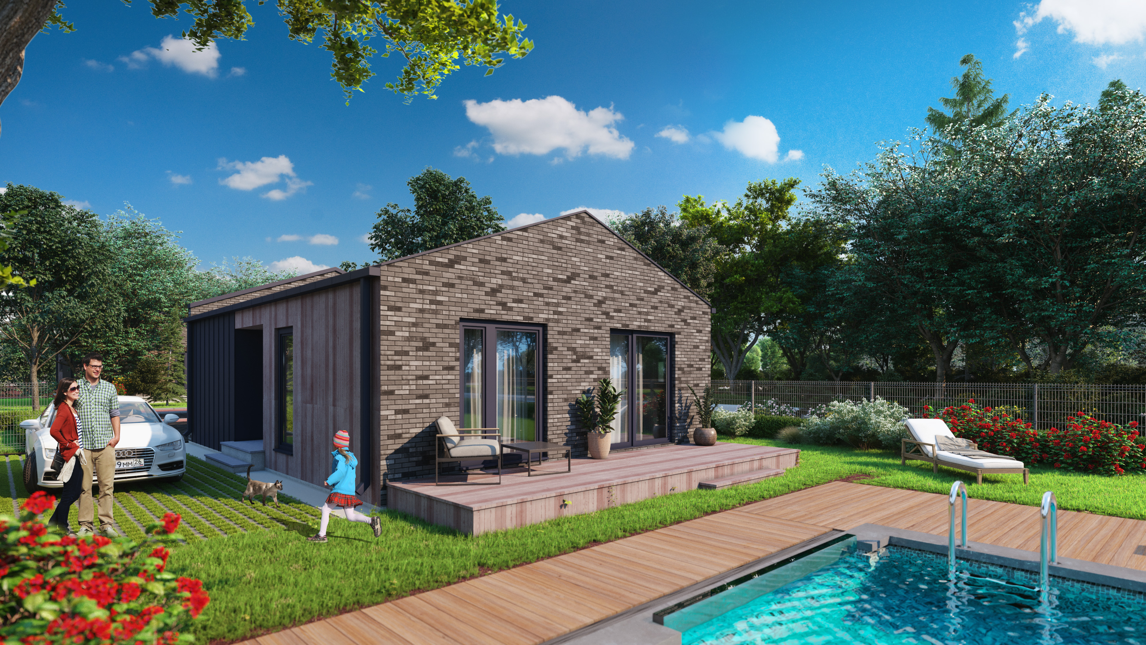 Выбранное изображение