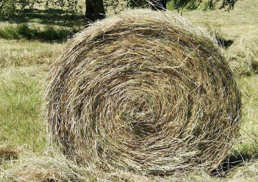 Сено в рулонах