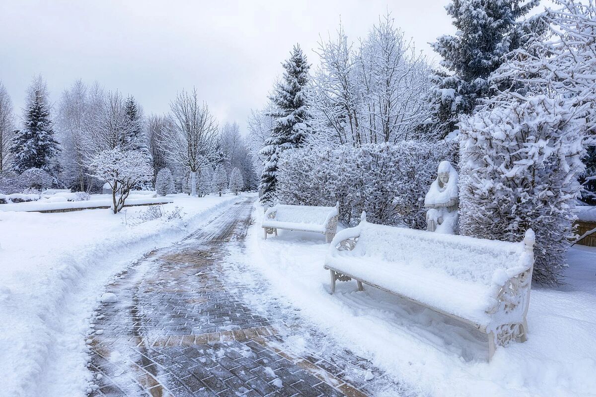 Изображение из списка