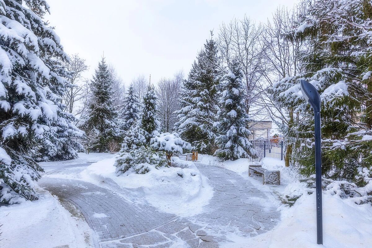 Изображение из списка