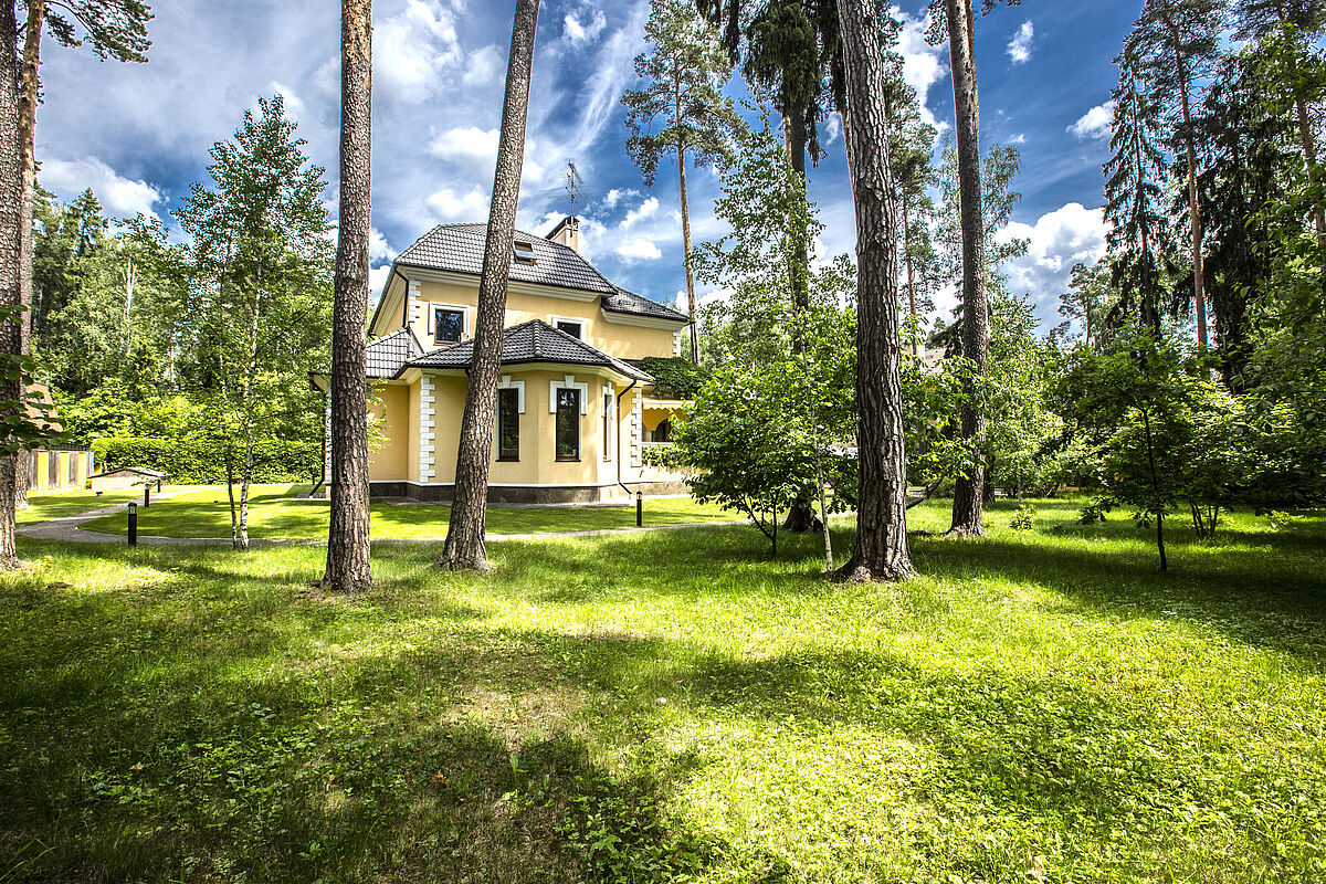 Изображение из списка