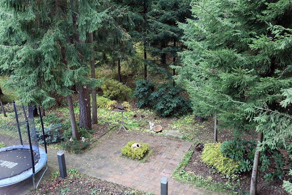 Изображение из списка