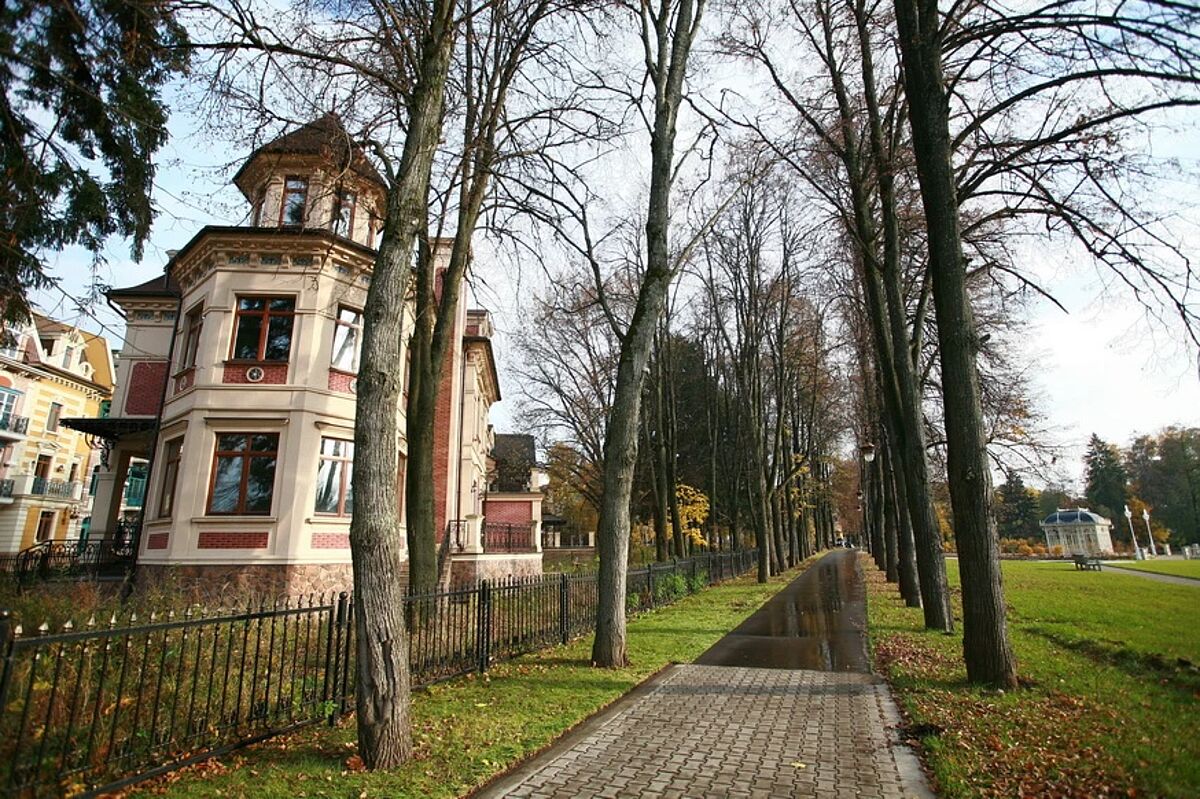 Выбранное изображение