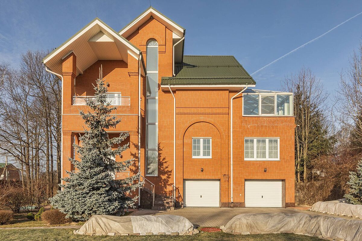 Выбранное изображение